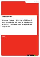   Working Papers: 1. The Rise of China - 2. Is Protectionism still alive in a globalized world? - 3. US under Bush II - Empire or Hegemon?