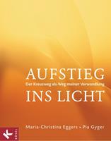   Aufstieg ins Licht