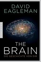   The Brain