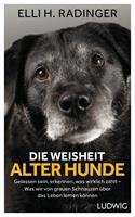   Die Weisheit alter Hunde