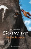  Ostwind - Wie es begann