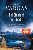   Bei Einbruch der Nacht