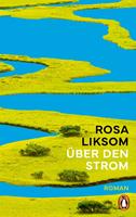   Über den Strom