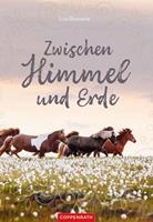   Zwischen Himmel und Erde