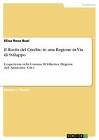   Il Ruolo del Credito in una Regione in Via di Sviluppo