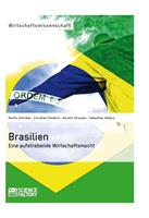 Brasilien. Eine aufstrebende Wirtschaftsmacht
