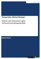   St&auml;rken und Schw&auml;chen agiler Softwareentwicklungsmodelle