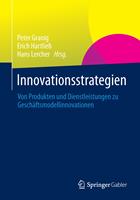   Innovationsstrategien