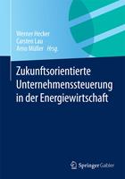   Zukunftsorientierte Unternehmenssteuerung in der Energiewirtschaft