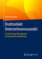   Drahtseilakt Unternehmenswandel