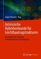   Intrinsische Hybridverbunde für Leichtbautragstrukturen