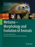   Metazoa – Morphology and Evolution of Animals