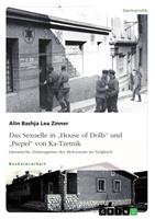   Das Sexuelle in "House of Dolls" und "Piepel" von Ka-Tzetnik. Literarische Zeitzeugnisse des Holocausts im Vergleich