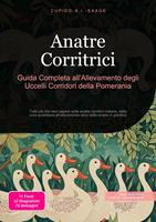   Anatre Corritrici