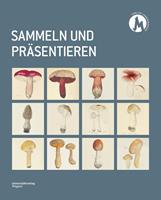   Sammeln und Präsentieren