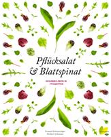 Pflücksalat & Blattspinat