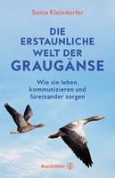   Die erstaunliche Welt der Graugänse