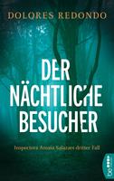   Der nächtliche Besucher