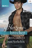   Bianca Herzensbrecher Band 4