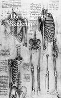   The Vertebrate Skeleton