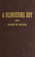   A Blundering Boy