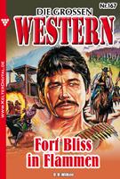   Die großen Western 167