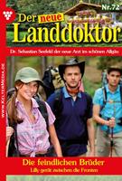   Die feindlichen Brüder
