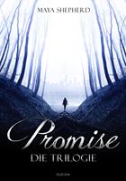   Promise