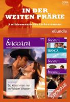   In der weiten Prärie - 5 wildromantische Liebesromane
