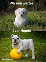   Wissenswertes &uuml;ber Hunde