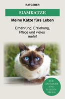   Siam Katze