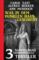 Was in dem dunklen Haus geschieht: Sammelband 3 geheimnisvolle Thriller