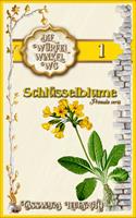   Schlüsselblume