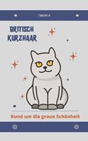   Britisch Kurzhaar - rund um die graue Sch&ouml;nheit