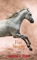   Fire Storm