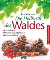   Die Heilkraft des Waldes