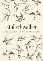   Stallschwalben