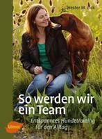   So werden wir ein Team