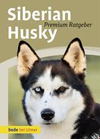   Siberian Husky