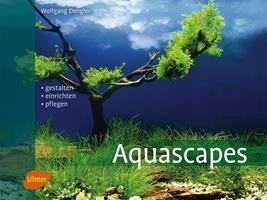   Aquascapes