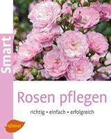   Rosen pflegen