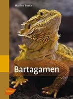   Bartagamen