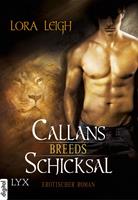   Breeds - Callans Schicksal