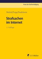   Strafsachen im Internet