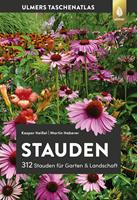   Stauden