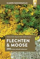   Flechten und Moose