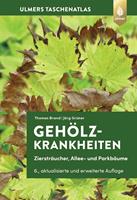   Gehölzkrankheiten