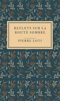 Reflets sur la route sombre