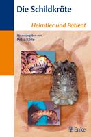   Die Schildkröte