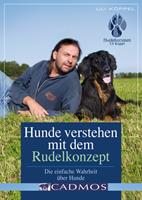   Hunde verstehen Rudelkonzept